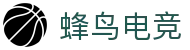 蜂鸟电竞官方网站 - 聚焦顶级电竞巅峰对决 | 官方同步比分更新